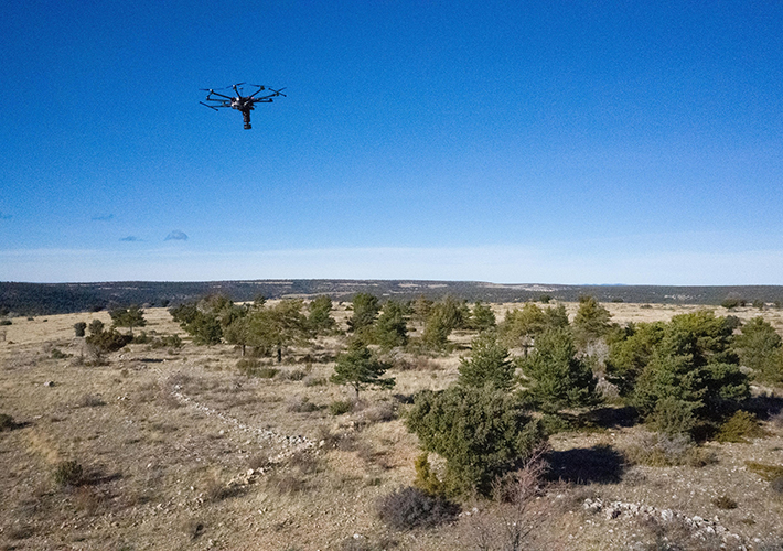 foto noticia Iberdrola reforestará los pueblos de España más comprometidos con la sostenibilidad.